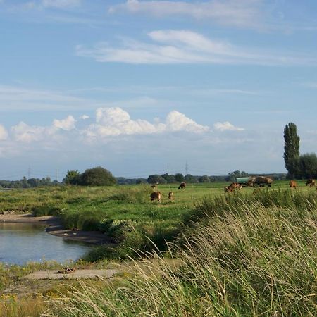 Ferienwohnung Am Schloss: Elbe-Nahe Unterkunft mit Schlossblick Barby Exterior photo