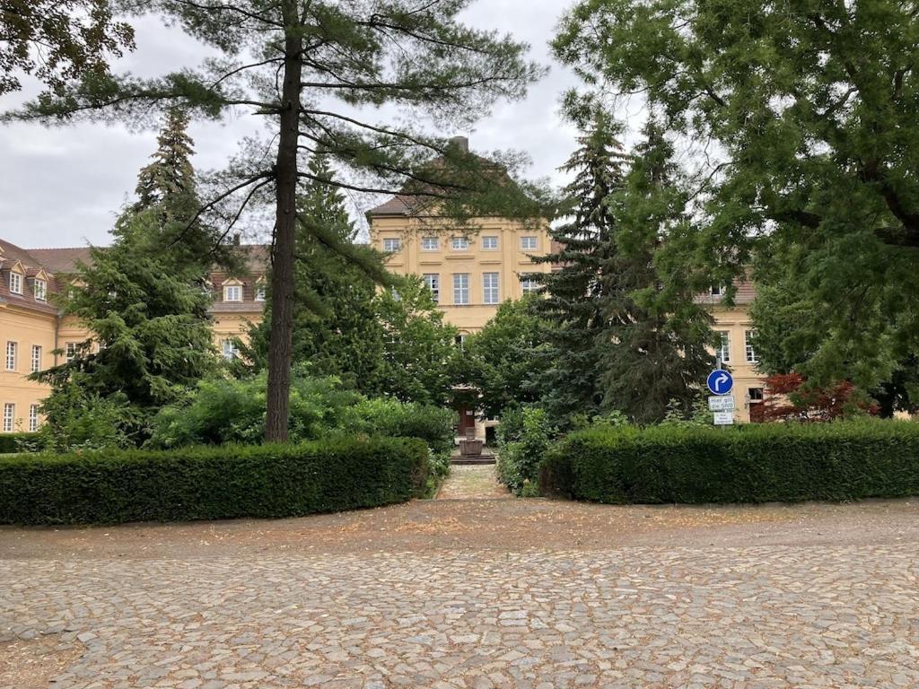 Ferienwohnung Am Schloss: Elbe-Nahe Unterkunft mit Schlossblick Barby Exterior photo