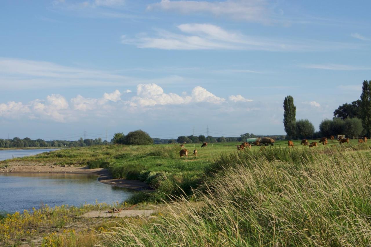 Ferienwohnung Am Schloss: Elbe-Nahe Unterkunft mit Schlossblick Barby Exterior photo